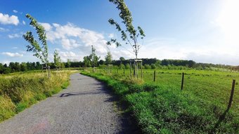 Bed & Breakfast Hotel Bergheim An Der Erft