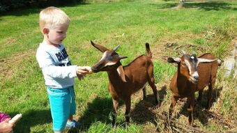Pension Penzion H�jsk� Ml�n Hartou?ov