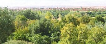 Hotel Kasbah Ait Moussa