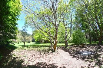 Bed & Breakfast Te Popo Gardens And Accommodation