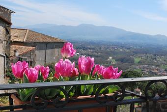 Apartamento Casa Vacanze Altavista