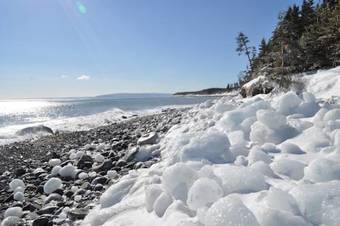 Lodge The Sleeping Moose