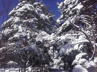 Hotel Rural Casa Cirilo