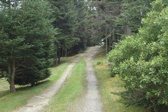 Frenchboro Point House - Four Bedroom Home