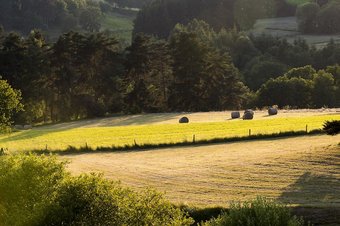 Bed & Breakfast Le Moulin Malin