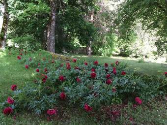 Bed & Breakfast Chateau de Laric