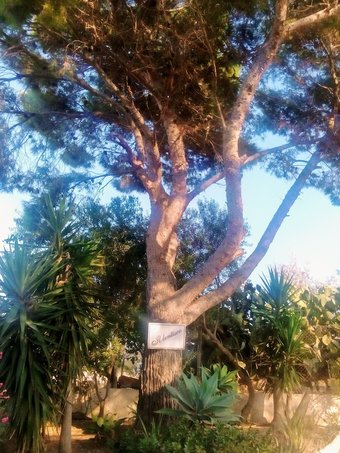 Bed & Breakfast Il Lentisco