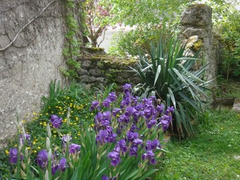 Hotel Le Presbyt�re - Chambres D'h�tes