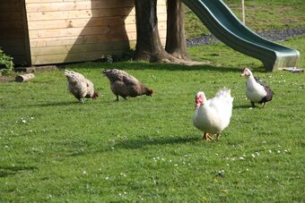 Bed & Breakfast Comme Un R�ve