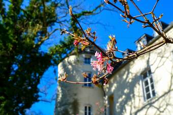 Hotel Burg Boetzelaer