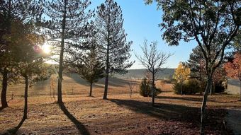 Domaine de La Salvage