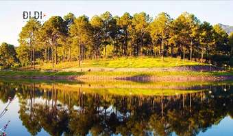 Homestay Lang Che 69