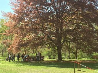 Hotel Locanda Di Cascina Oslera