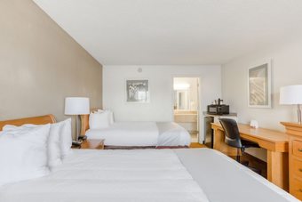 Hotel Oyo Townhouse Owensboro West