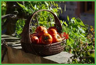 La Prade Basse - G�te Du Four � Pain