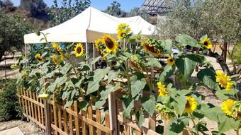 Pachamama Ecocamping