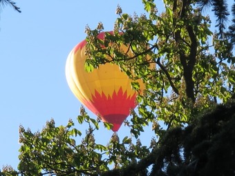 Hotel Chambre D'h�te Avec Balcon Et Vue Sur Le Parc