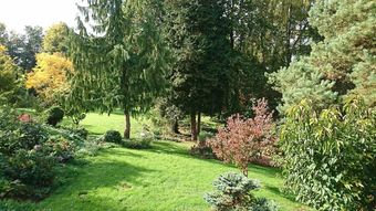 Hotel La Maison Aux Fleurs