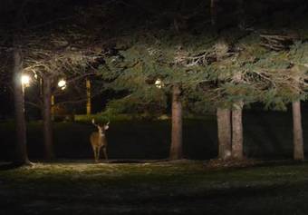 Briarwood Bed & Breakfast