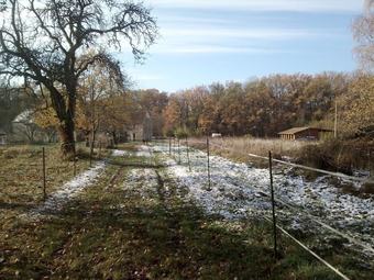 La Montagne De Bellot