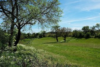 G�te Du Lou Caussinhol
