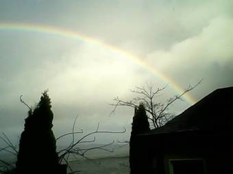 Hotel Shady Shores Beach Resort