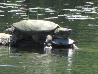 Shambhala Bed And Breakfast