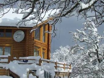 Villa The Green Pine Chalet