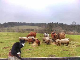 Agroturismo Statek Polzov