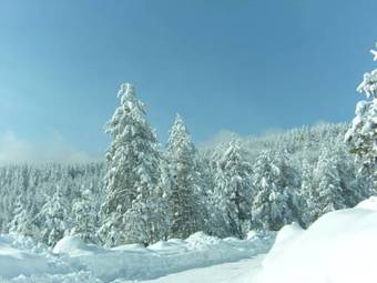 Hostal Guesthouse Damyanova Kushta