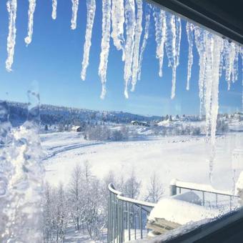 Hotel Guriset H�yfjellshotell