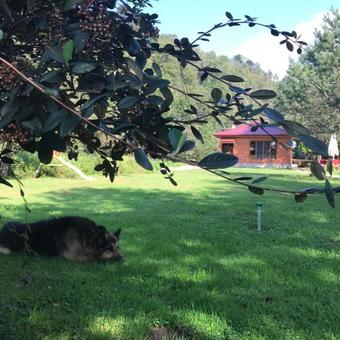 Agroturismo P?nar K?r Evi