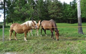 Three-bedroom Holiday Home In Nova Vas