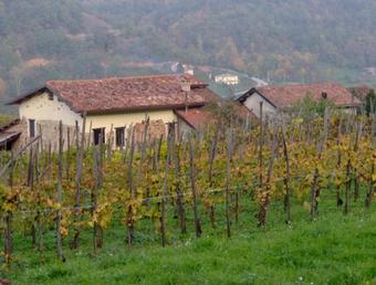 Agroturismo La Botalla Agriturismo