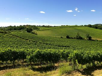 Agroturismo Elegant Apartment In Castelfiorentino With Swimming Pool