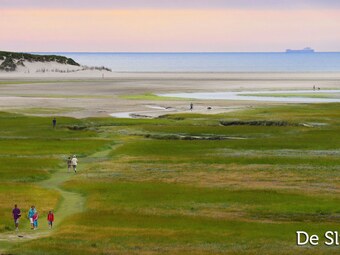 Well-kept Apartment, A Stone's Throw From The Sea, On Texel