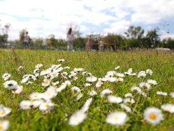 Modern Lodge With Two Bathrooms, 1 Km. From The Beach