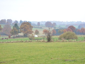 Agroturismo Affluent Farmhouse In Elsenborn With Infrared Sauna