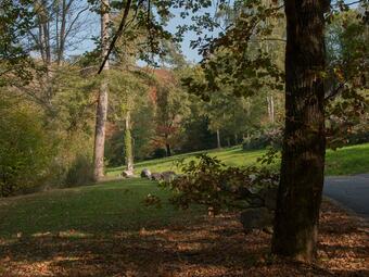 Tidy Holiday Home With Wood Burner In A Green Area