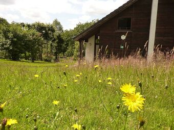 Pleasant Chalet On The Heights Of Malmedy