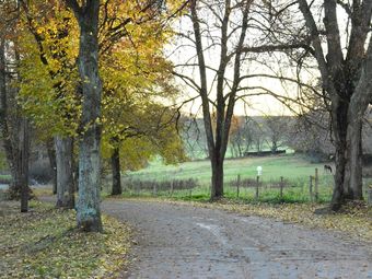 Luxurious Holiday Home In Redu With Sauna