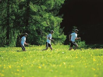 Pleasant Apartment With Ski Storage,balcony, Garden, Parking