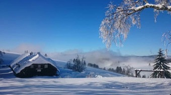 Hotel Berggasthaus Gisiboden