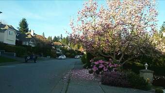 Hotel Jinjiang Guesthouse By Elevate Rooms