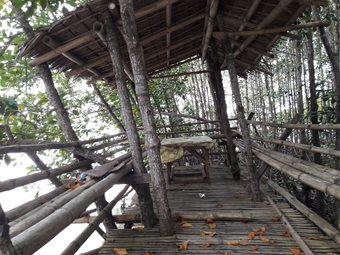 Hotel Guimaras Mangrove Guesthouse