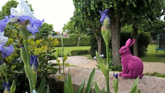 Bed & Breakfast Chambres D'h�tes Le Clos Des Tilleuls