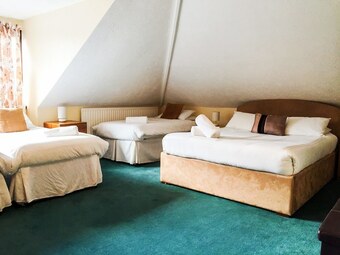 Bindon Lane Cottages - Dhh