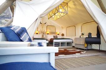 Hotel Black Tree Resort