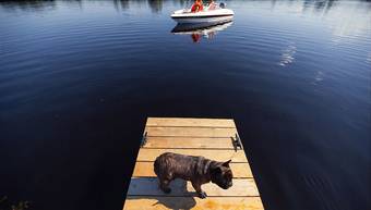 Hotel Yacht-club Medvedica