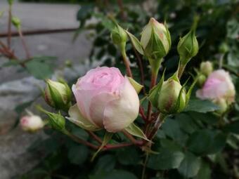 Agroturismo Untermairhof